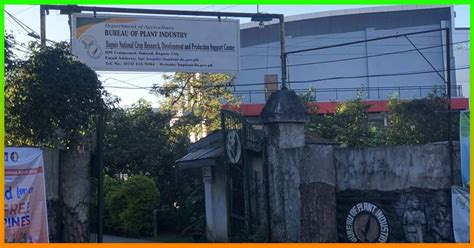 Bureau of Plant Industry, Bago.